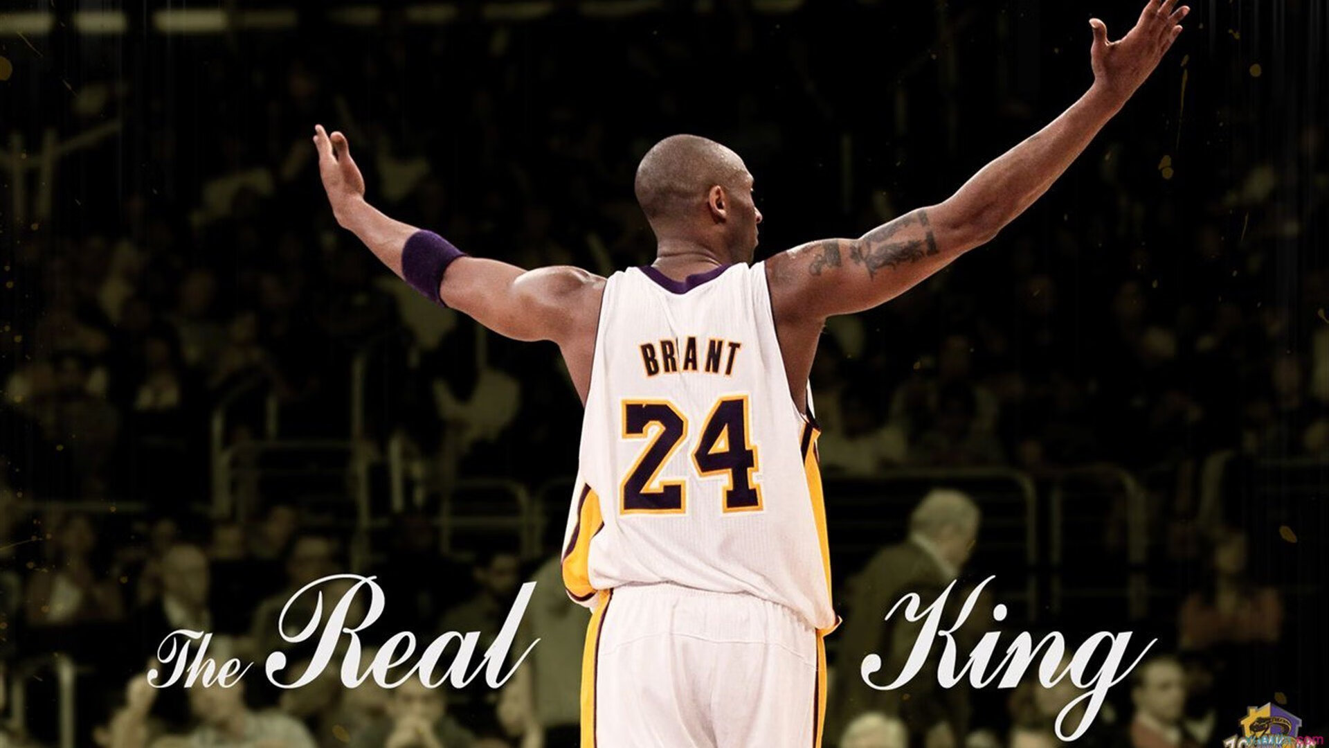 新兴极限运动:飞跃、旋转的色彩盛宴